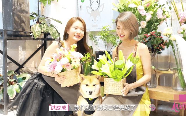 逃离倒影森林