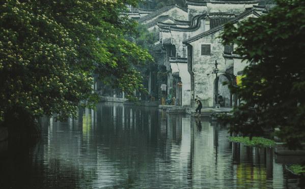 探探猫历险记